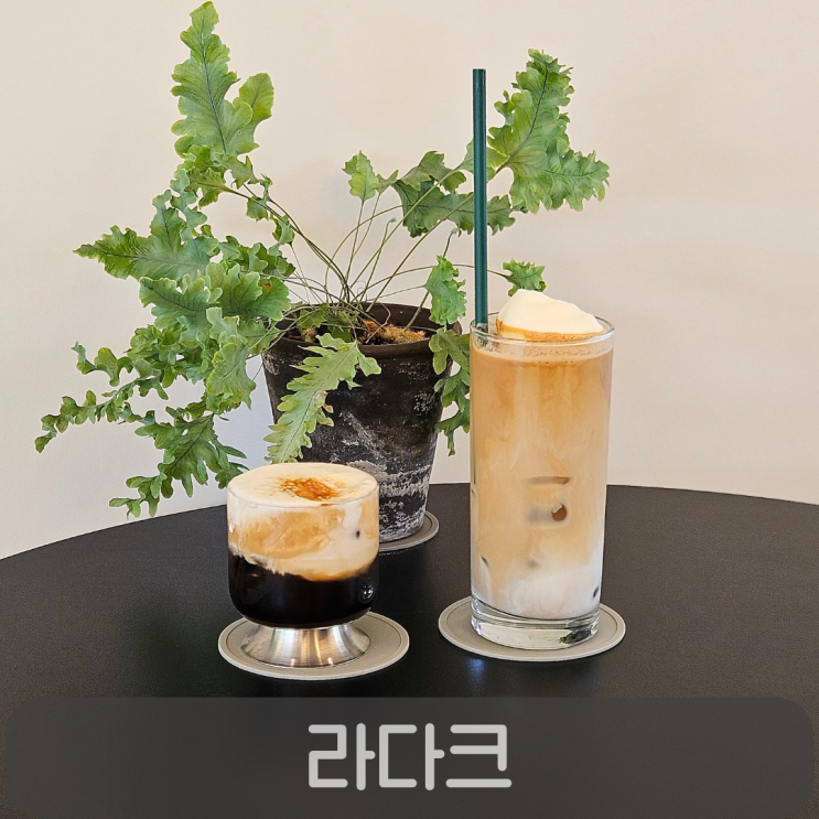  반석동카페 라다크, 통창 가득 햇살 담은 대전신상카페