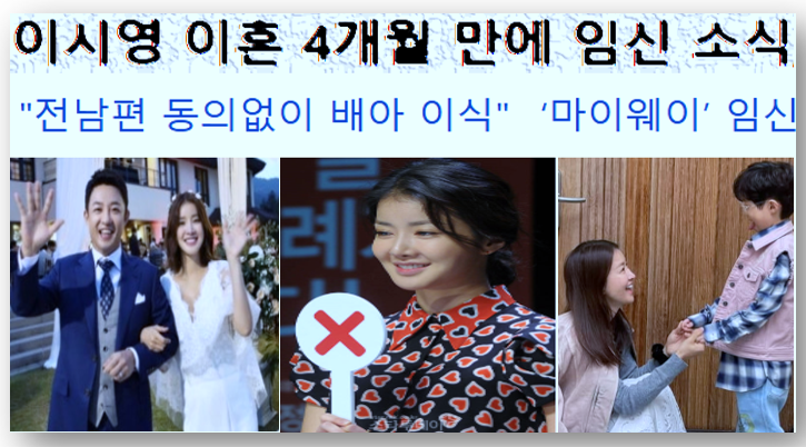 배우 <b>이시영</b>의 이혼 절차 중 전남편 동의없는 <b>배아 이식</b>