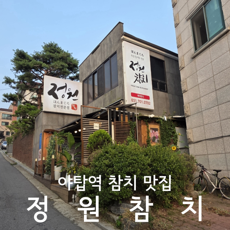  분당 참치 전문점 야탑역 맛집 룸식당 정원참치 vip코스 후기