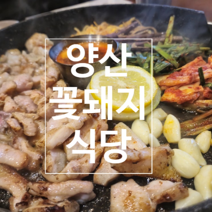  양산중부동맛집 양산회식 양산 꽃돼지식당 양산고기집 장소추천