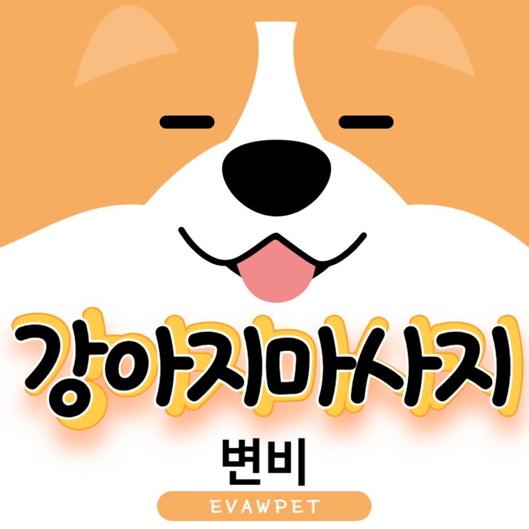  강아지변비마사지 안전하고 효과적인 배변 유도법