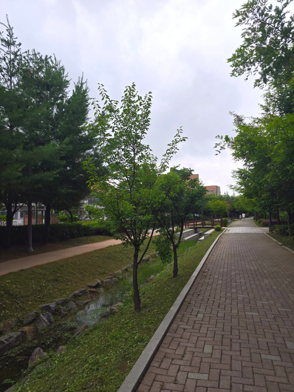 홀리베리 사진 2