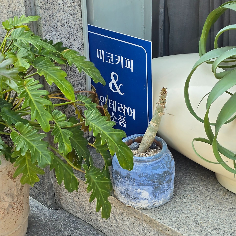 미코 사진 3