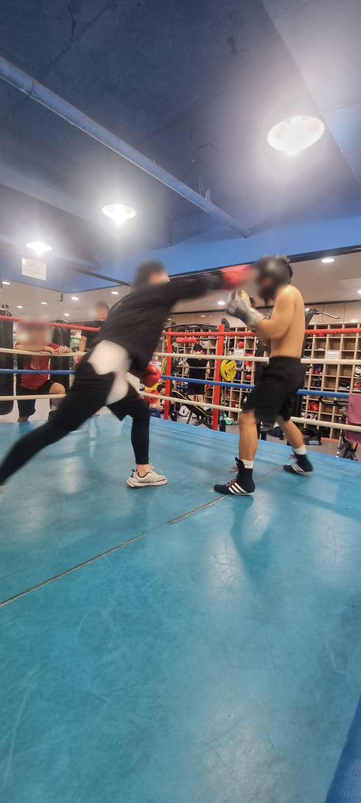  내발산동복싱 레드복싱클럽, 강서구의 최고 복싱 체육관