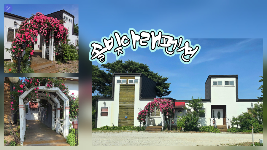 솔빛아래펜션 사진 1