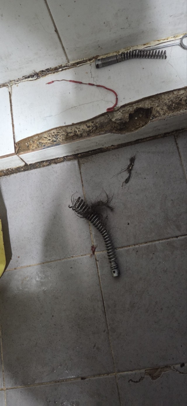 이곱처럼 사진 6