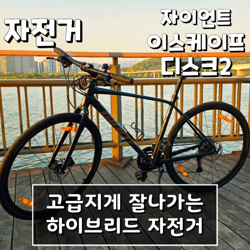 입문용 하이브리드 자전거 추천 내돈내산 2025 자이언트 이스케이프 디스크2 한강자전거길 후....