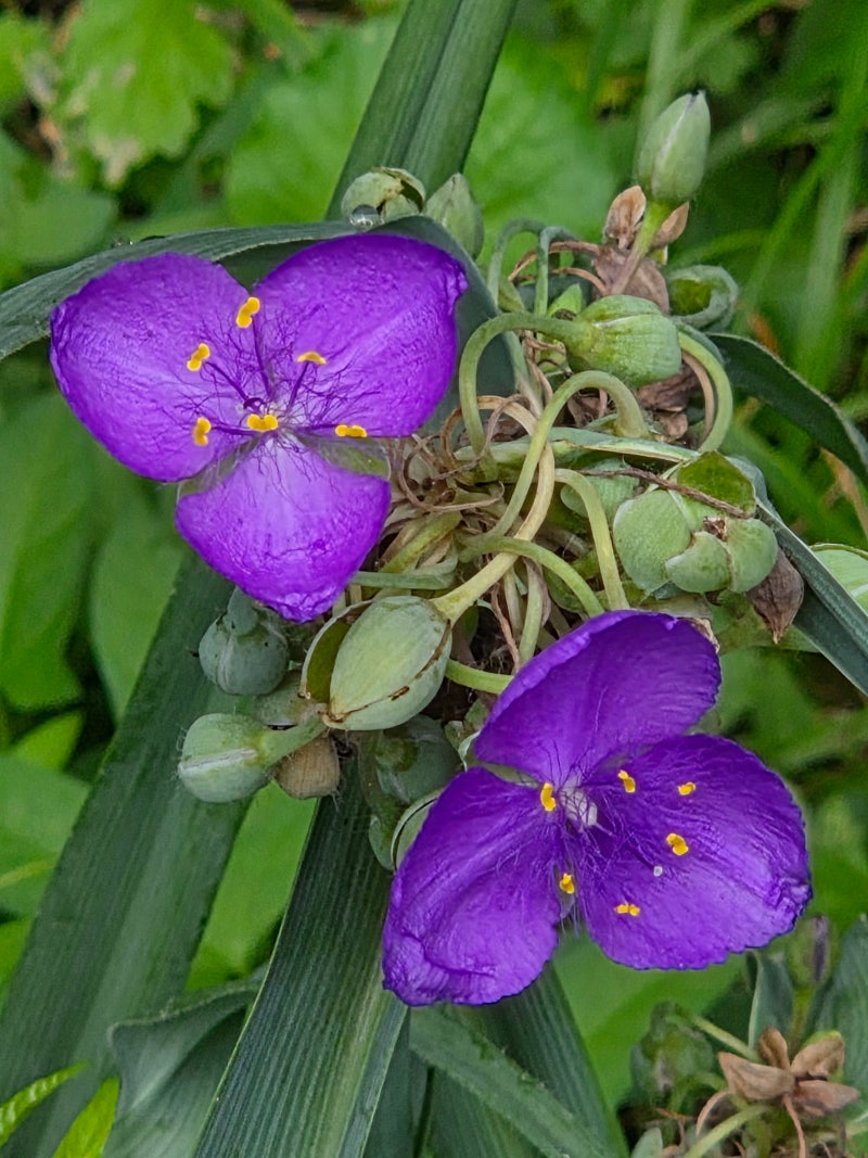 정책지식 2025.7.8. : 네이버 블로그