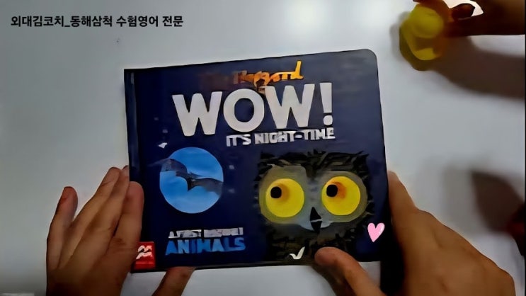  [영어그림책 후기]  Wow, it’s night time!｜밤이 되면 깨어나는 자연의 비밀｜외대김코치 영어책 읽기