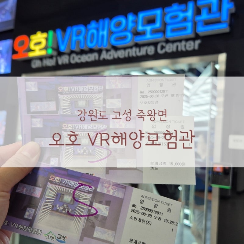 강원도 고성 비오는날 갈만한 곳 초등아이들이 좋아 할 VR해양체험관