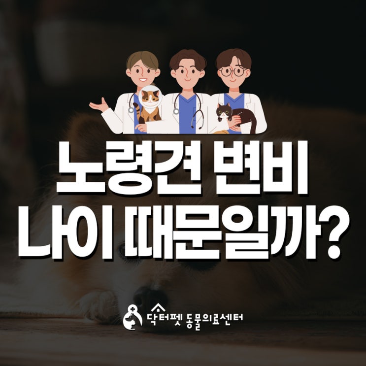 노령견이 며칠째 변을 안 본다면? 강아지 변비 관리 가이드 부산 동물병원