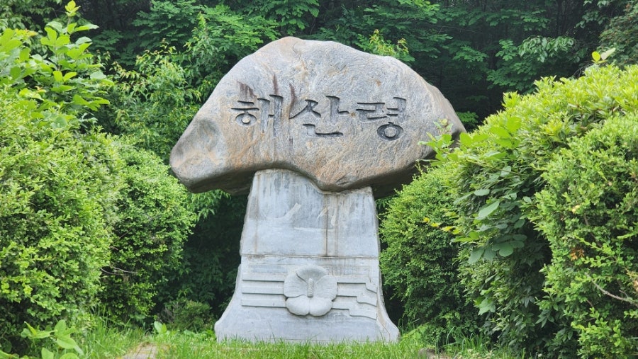 일산 사진 4