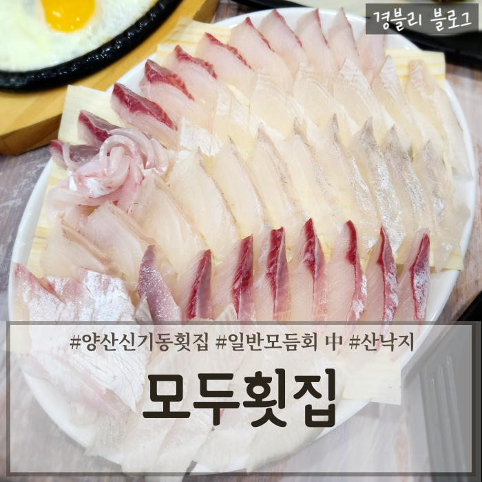  양산 신기동 횟집 양산횟집 가성비좋은 양산회맛집 '모두횟집'