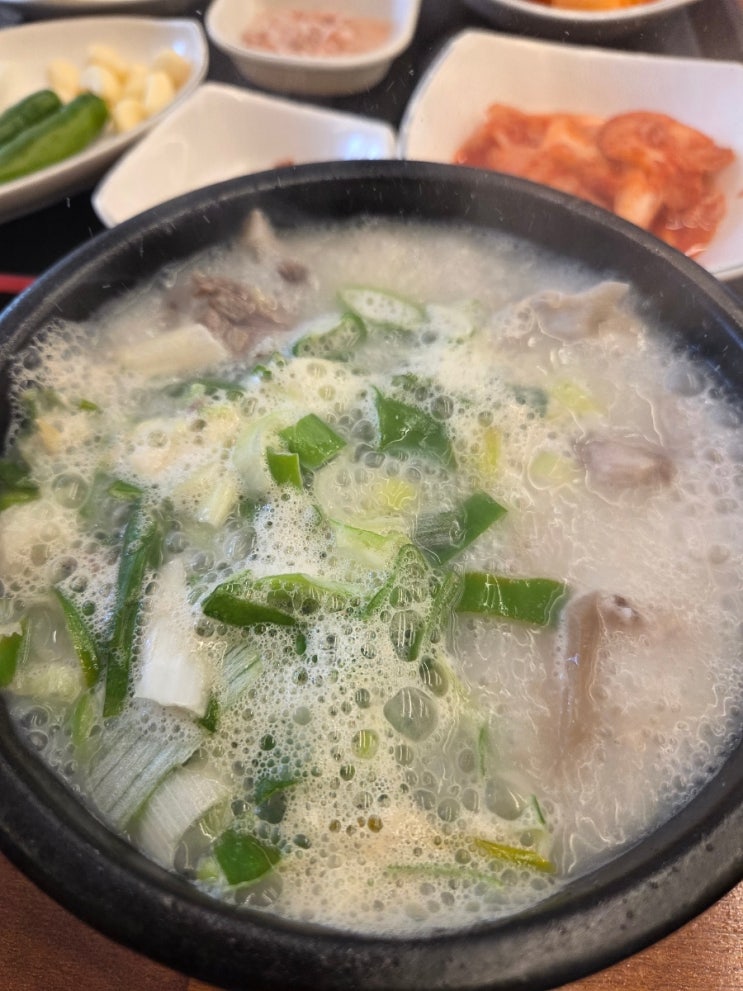 일품돼지국밥 대구 두산점 7천원의 행복 돼지국밥 후기