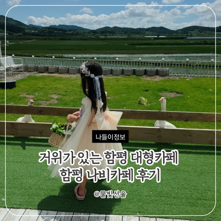  전남함평대형카페 감성 충만 힐링카페 함평나비카페