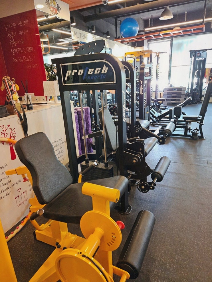  JW 퍼스널트레이닝&PT&헬스, 초지동 PT로 건강한 라이프스타일을!