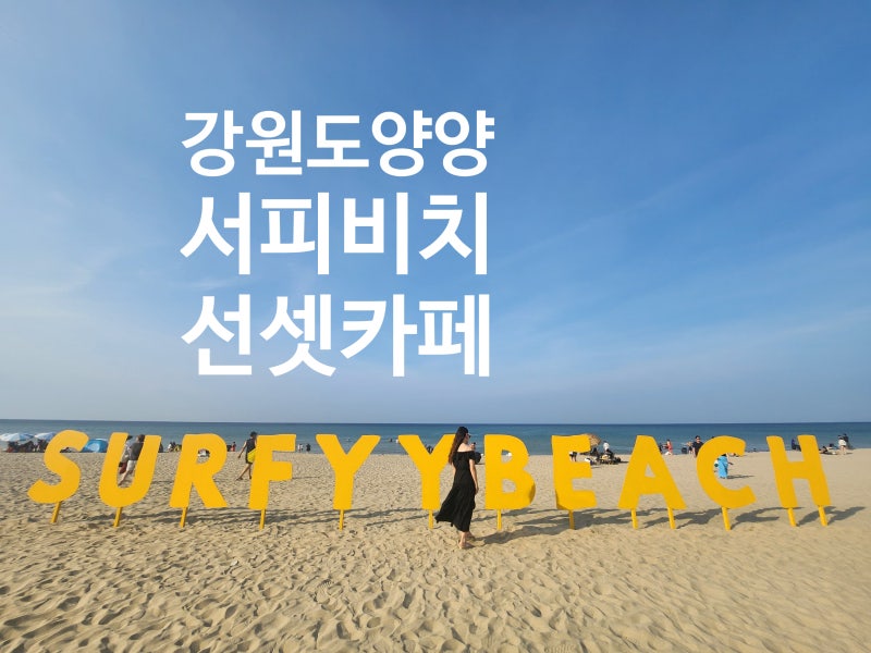 사진 6