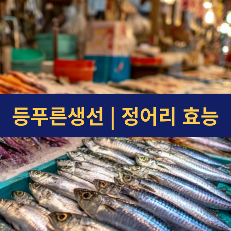  등푸른생선 정어리 효능 | 오메가3부터 뇌 건강까지 7가지 건강 효능 집중 탐구