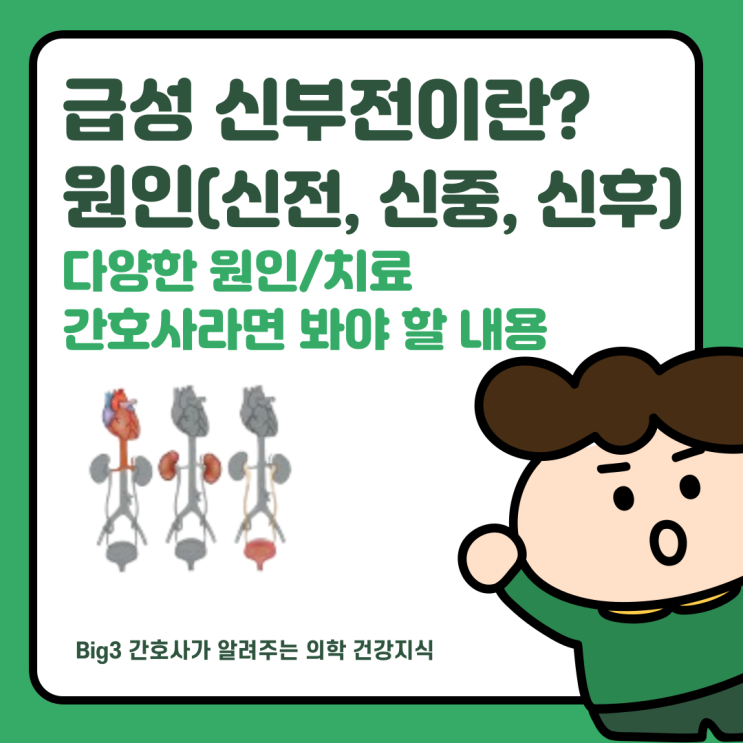  급성 신부전(Acute kidney injury) 원인과 치료, 다양한 원인과 약물, 투석까지 (feat. KDGIO)