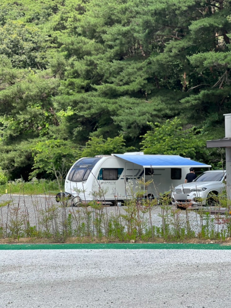  고릴라캠핑 인 속리산 c1후기. 시설 최고! 단 그늘은 없다