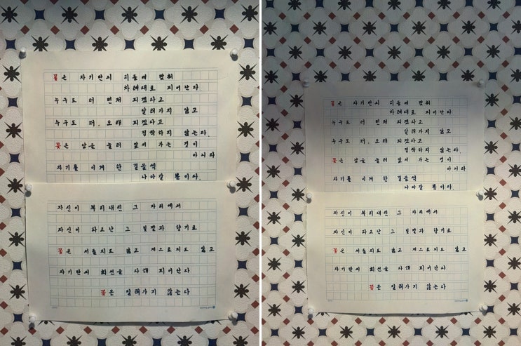  가족과 함께하는 특별한 외식, 행궁동양식의 매력을 느껴보세요