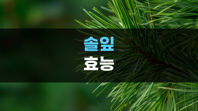솔잎 효소 차 가루 기름 효능 및 부작용, 차 만들기