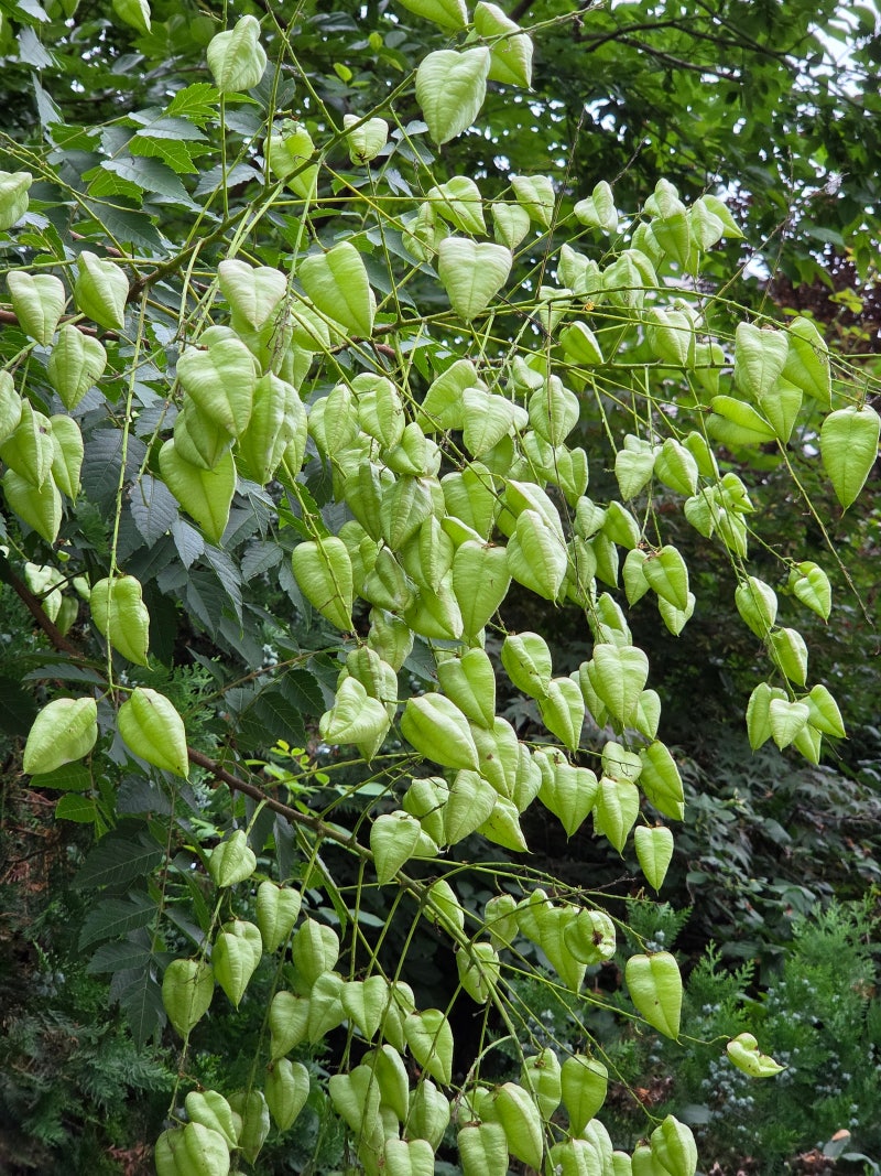 정책지식 2025.7.8. : 네이버 블로그