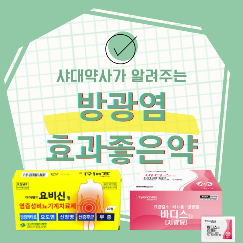 방광염 약국약(요비신/저령탕/소염진통제/예방/크렌베리)