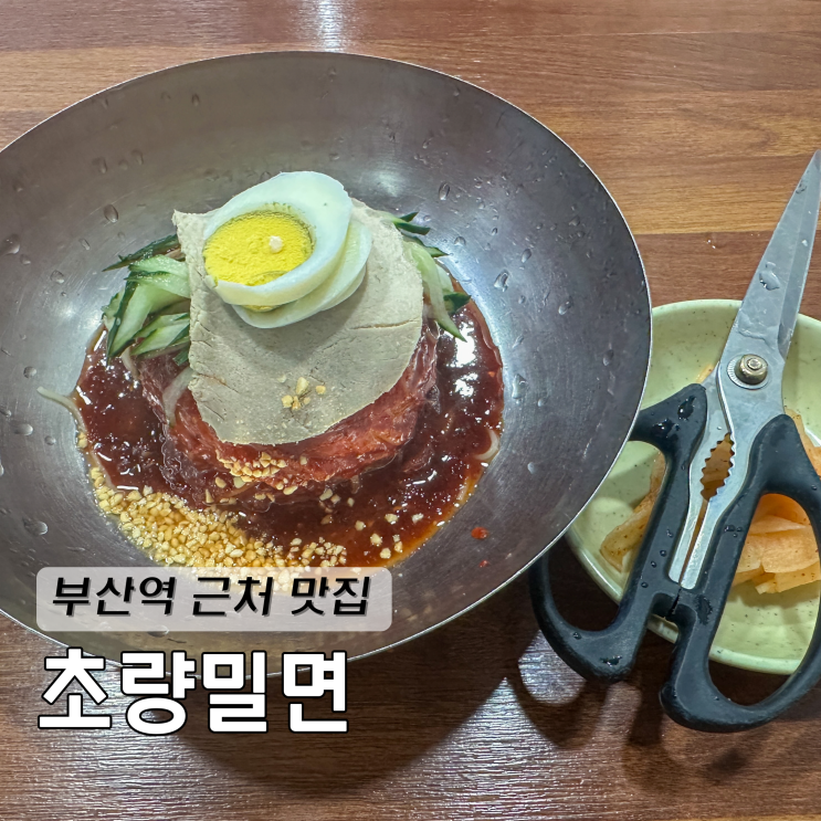 부산역 근처 맛집 3대 밀면 초량밀면 가성비 최고