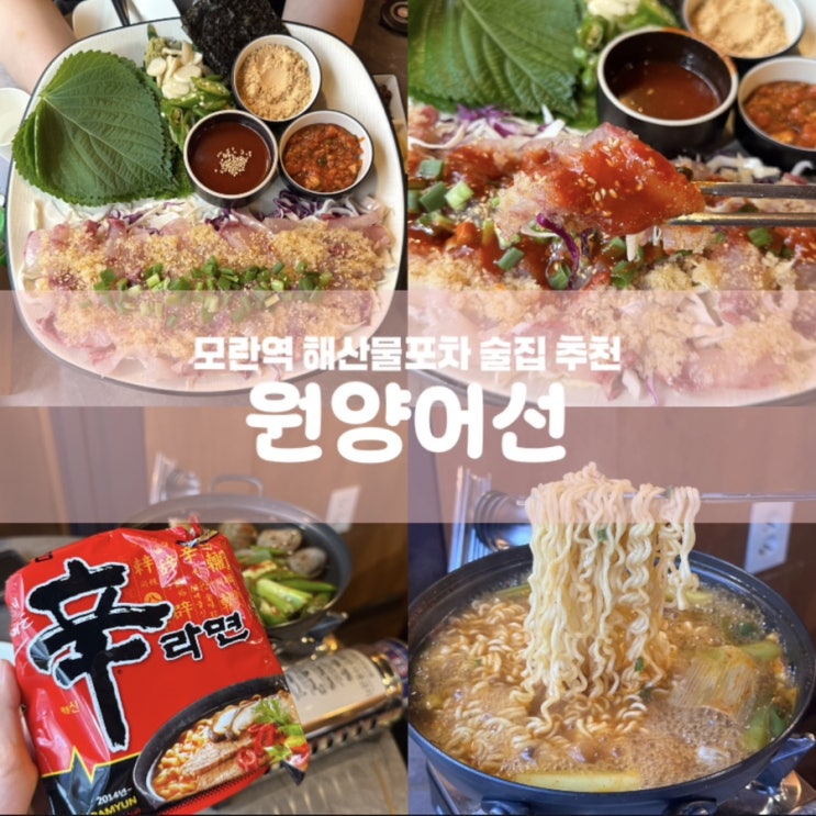  원양어선 모란 술집 해산물포차 성남 횟집