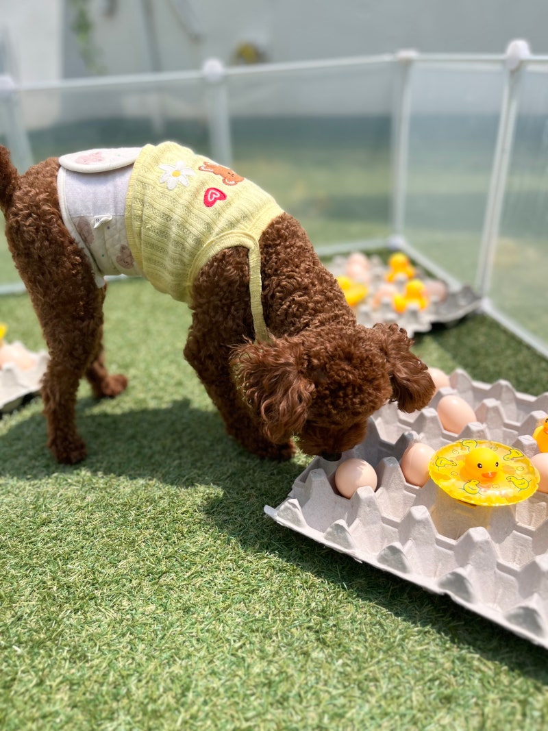 사진 7