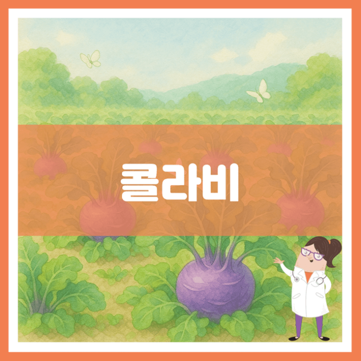  콜라비 효능 부작용 고르는 방법