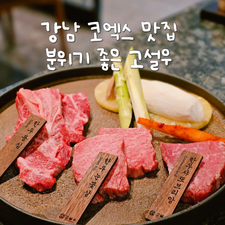  강남 코엑스 맛집 데이트 가볼만한곳 분위기 좋았던 고설우