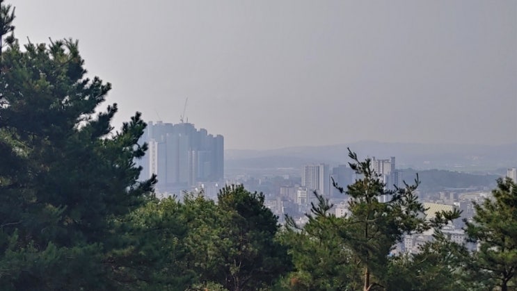 오늘아침, 망현산을 거닐며... 오늘아침, 망현산을 거닐며...