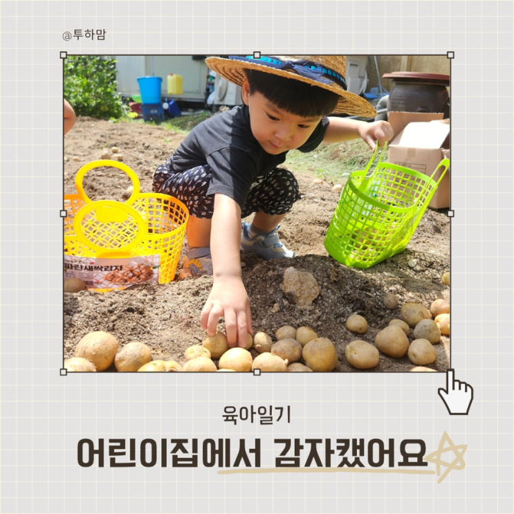  투하맘 육아일기 ) 어린이집에서 감자 캤어요 !