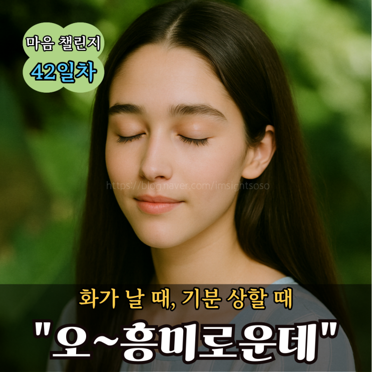  100일 마음 챌린지 42일차: 화가 날 때, 기분 상할 때-"오~흥미로운데"