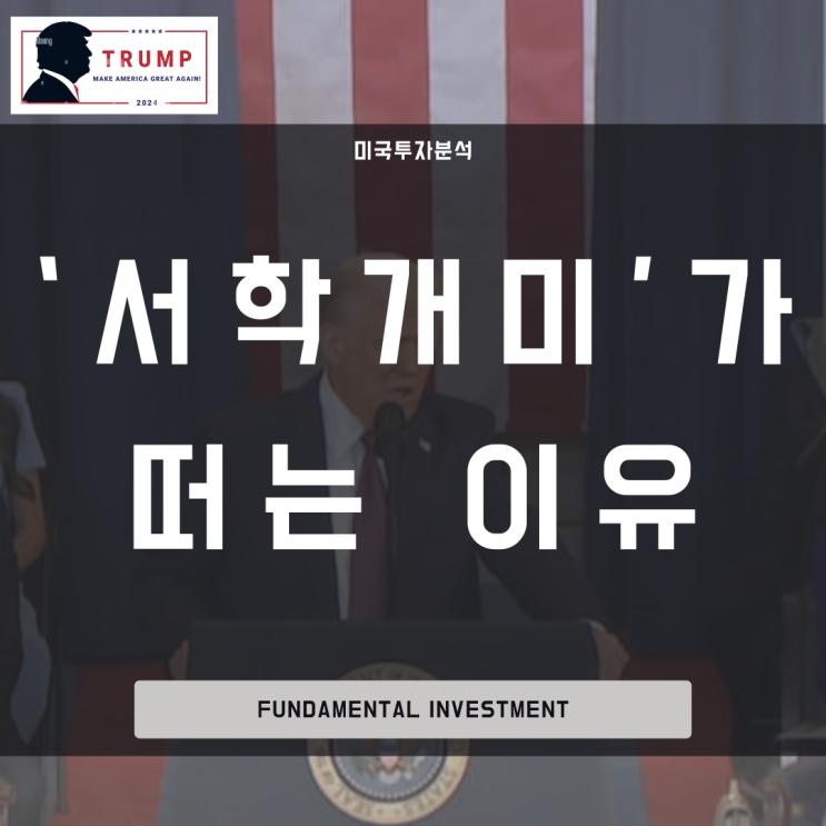 [정치리스크+테크주식] <b>트럼프</b>의 관세폭탄과 머스크의 신당창당... 