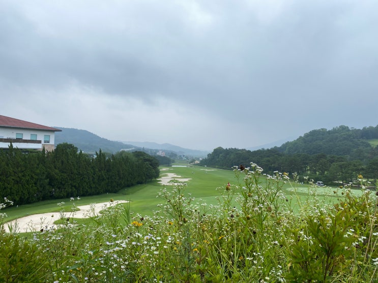  충남 아산 도고CC 넓은 페어웨이 회원제 골프장