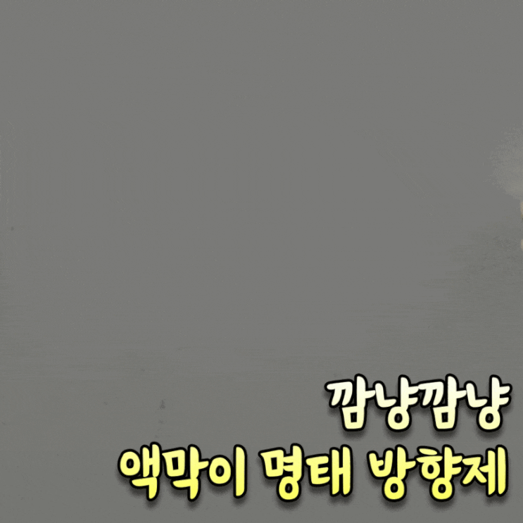  액막이 명태 방향제 집들이 선물용으로 추천 [깜냥깜냥 방향제]