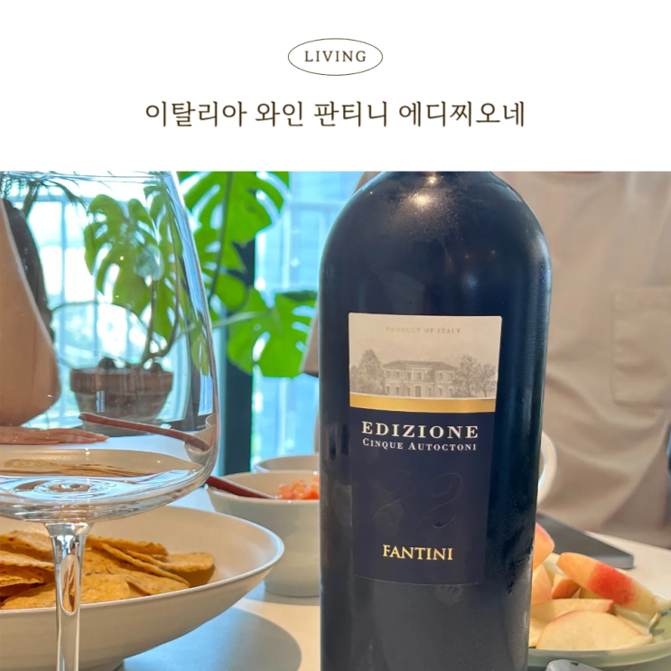  이탈리아 판티니와인 에디찌오네 레드와인추천