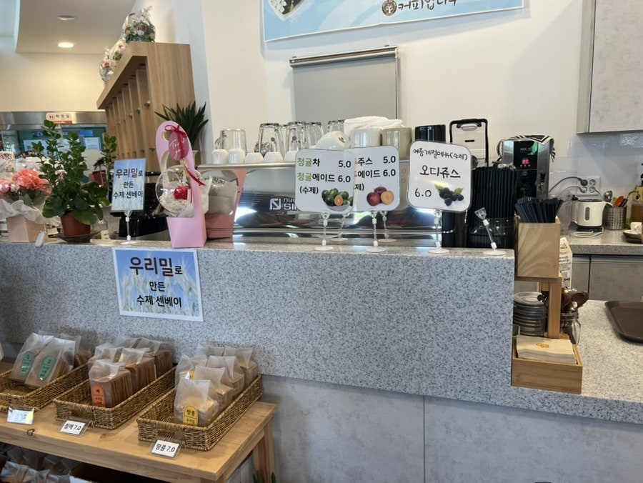 커피밥나무 사진 4