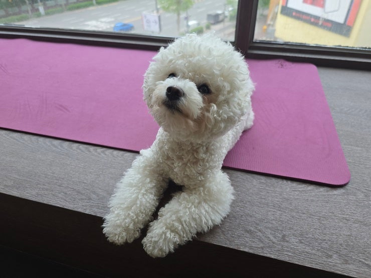 사진 2