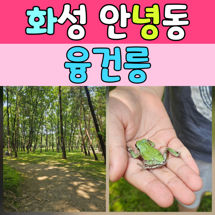  화성 융건릉에서 여유로운 산책과 역사공부하며 자연느끼기