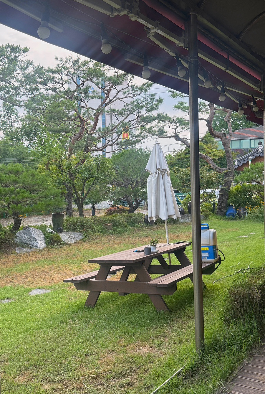 소나무집 사진 3