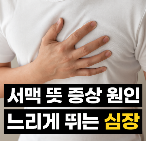  서맥 뜻 증상 원인 동성서맥 서맥성 부정맥 알아봐요