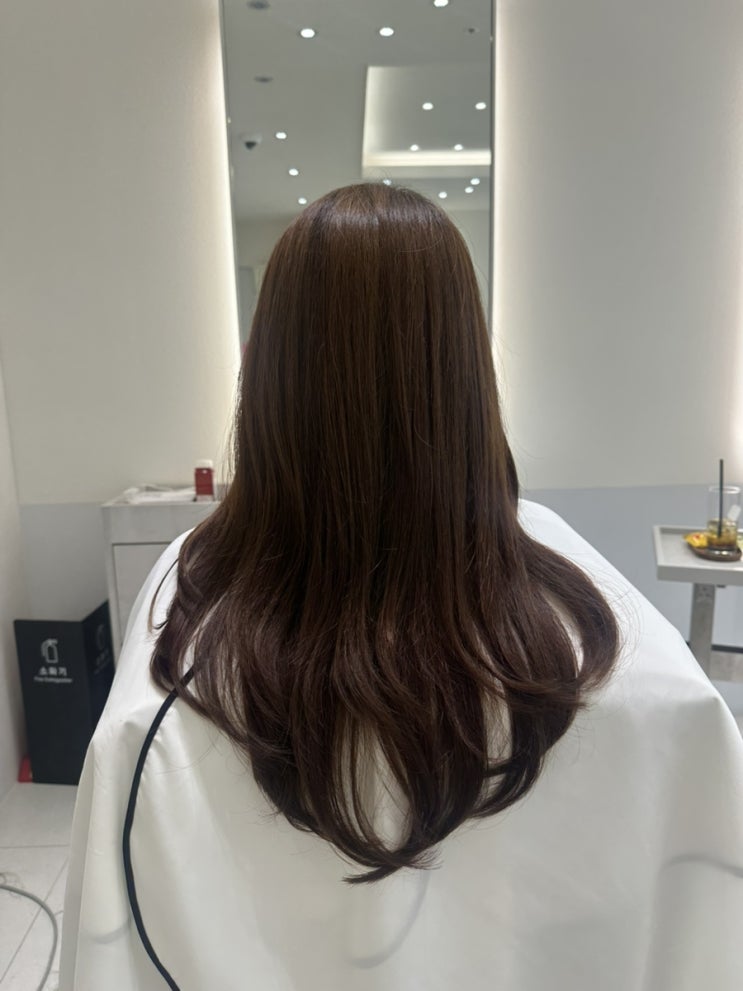  긴머리 헤어 클리닉 & 레이어드컷 후기 by 분당 서현역 미용실 무아드헤어 ( 예슬 디자이너 )