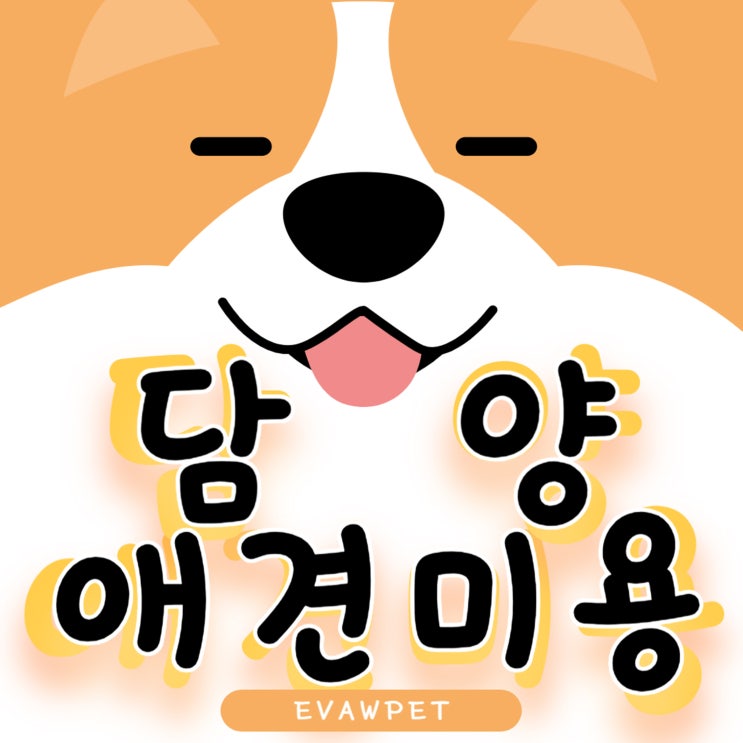  담양애견미용학원 반려동물 전문가를 꿈꾸는 당신을 위한 최고의 선택