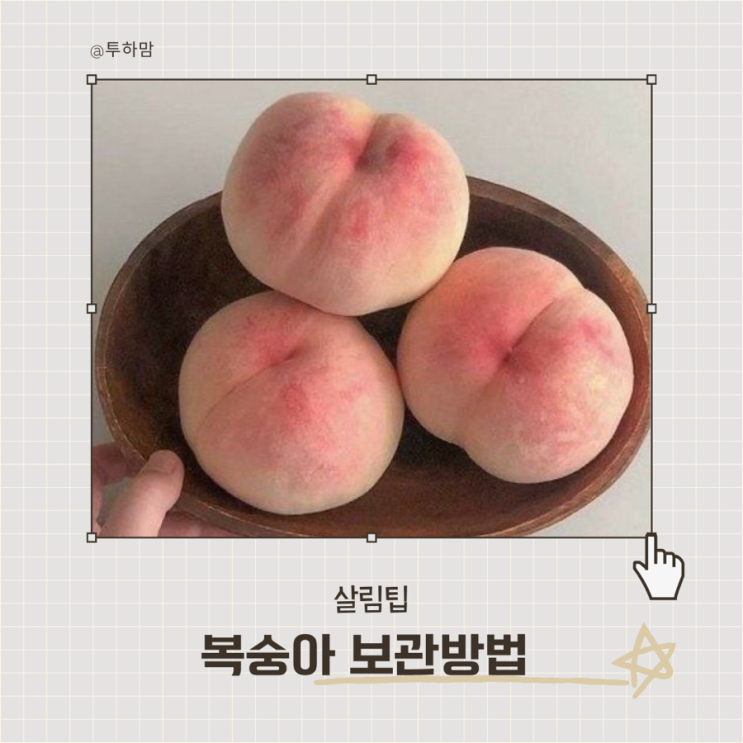  복숭아 맛 없어진다고요? 그건 보관 잘못했기 때문입니다