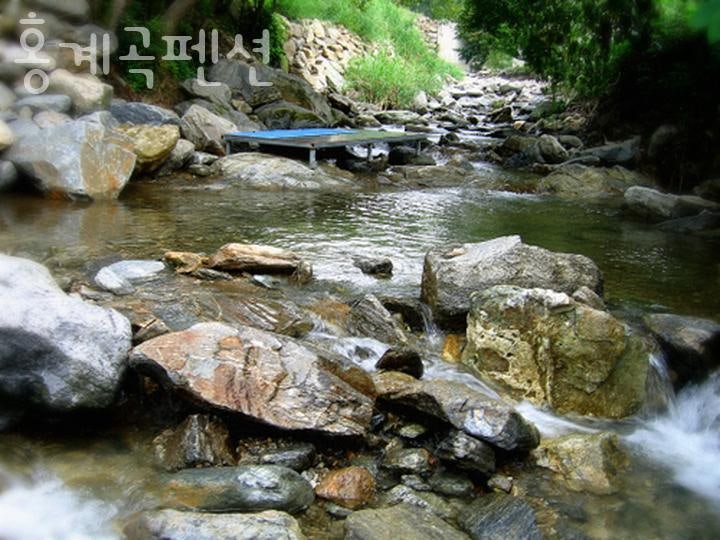 홍계곡펜션 사진 3