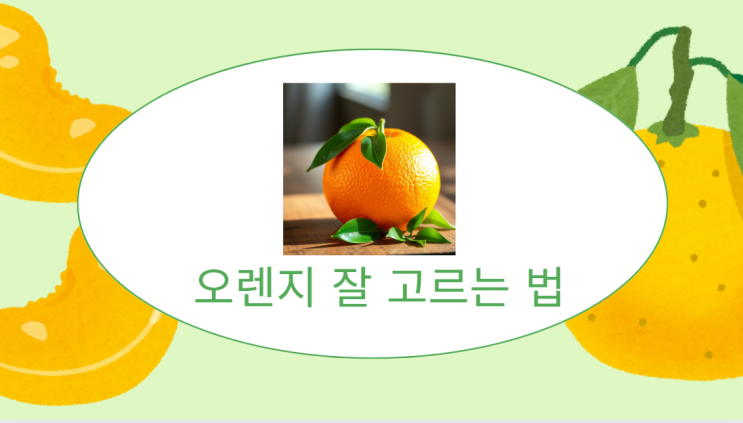  오렌지 잘 고르는 법 – 실패 없는 구매 꿀팁 & 브랜드 추천까지!